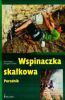 Wspinaczka skakowa Poradnik